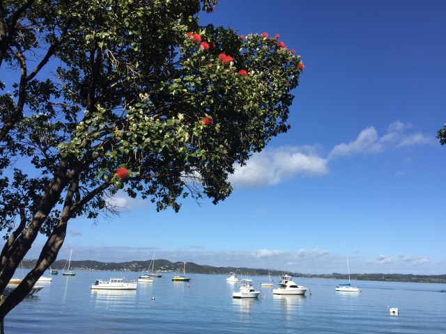 Final morning cafe visit with postcard views. 